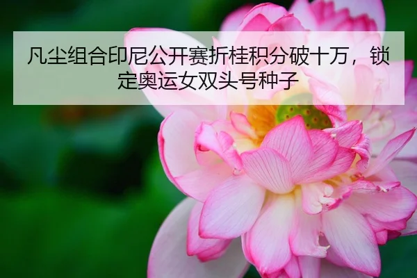 凡尘组合印尼公开赛折桂积分破十万，锁定奥运女双头号种子